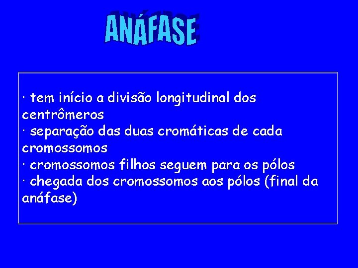 · tem início a divisão longitudinal dos centrômeros · separação das duas cromáticas de