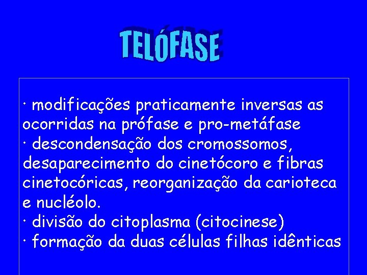 · modificações praticamente inversas as ocorridas na prófase e pro-metáfase · descondensação dos cromossomos,