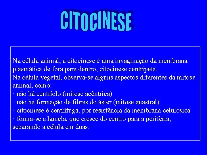 Na célula animal, a citocinese é uma invaginação da membrana plasmática de fora para