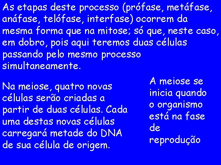 As etapas deste processo (prófase, metáfase, anáfase, telófase, interfase) ocorrem da mesma forma que