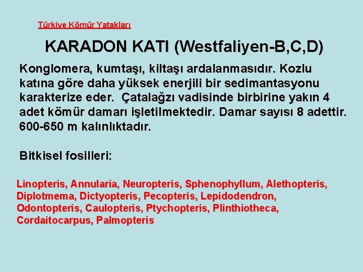 Türkiye Kömür Yatakları KARADON KATI (Westfaliyen-B, C, D) Konglomera, kumtaşı, kiltaşı ardalanmasıdır. Kozlu katına