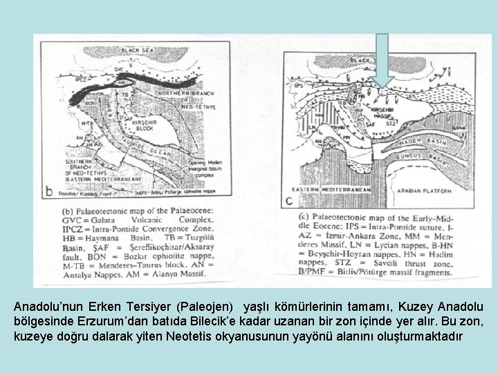 Anadolu’nun Erken Tersiyer (Paleojen) yaşlı kömürlerinin tamamı, Kuzey Anadolu bölgesinde Erzurum’dan batıda Bilecik’e kadar
