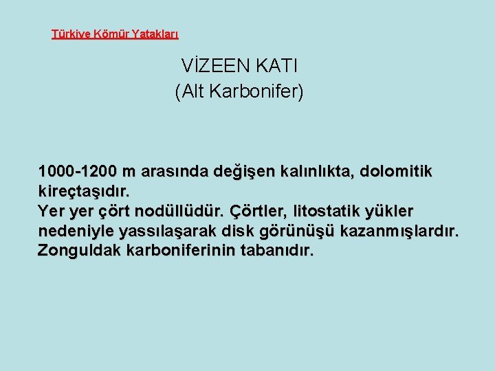 Türkiye Kömür Yatakları VİZEEN KATI (Alt Karbonifer) 1000 -1200 m arasında değişen kalınlıkta, dolomitik