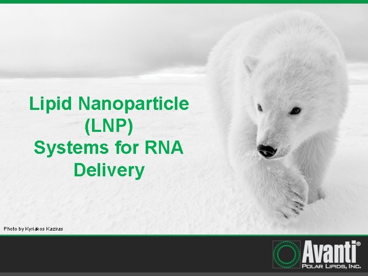 Lipid Nanoparticle (LNP) Systems for RNA Delivery Photo by Kyriakos Kaziras 