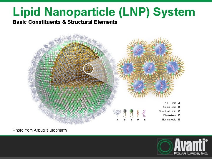 Lipid Nanoparticle (LNP) System Basic Constituents & Structural Elements Photo from Arbutus Biopharm 