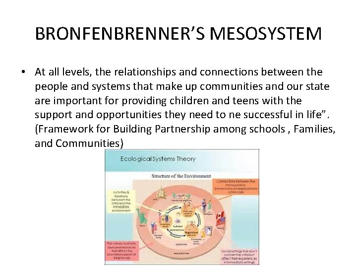 BRONFENBRENNER’S MESOSYSTEM • At all levels, the relationships and connections between the people and