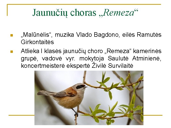 Jaunučių choras „Remeza“ n n „Malūnėlis“, muzika Vlado Bagdono, eilės Ramutės Girkontaitės Atlieka I