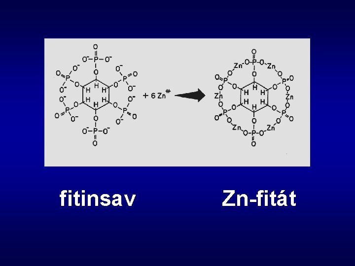 fitinsav Zn-fitát 