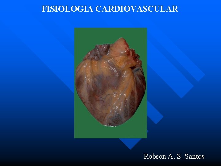 FISIOLOGIA CARDIOVASCULAR Robson A. S. Santos 