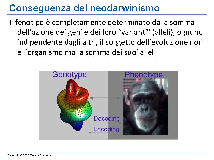 Conseguenza del neodarwinismo Il fenotipo è completamente determinato dalla somma dell’azione dei geni e