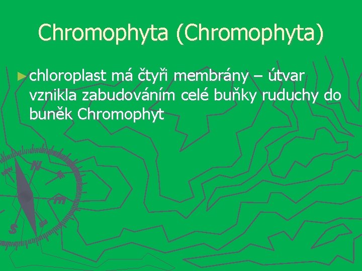 Chromophyta (Chromophyta) ► chloroplast má čtyři membrány – útvar vznikla zabudováním celé buňky ruduchy