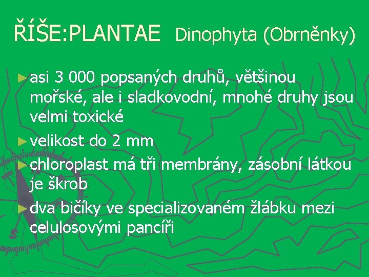 ŘÍŠE: PLANTAE Dinophyta (Obrněnky) ► asi 3 000 popsaných druhů, většinou mořské, ale i