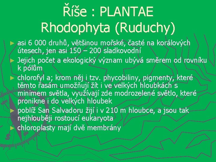 Říše : PLANTAE Rhodophyta (Ruduchy) asi 6 000 druhů, většinou mořské, časté na korálových