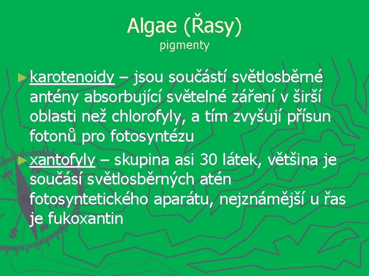 Algae (Řasy) pigmenty ► karotenoidy – jsou součástí světlosběrné antény absorbující světelné záření v