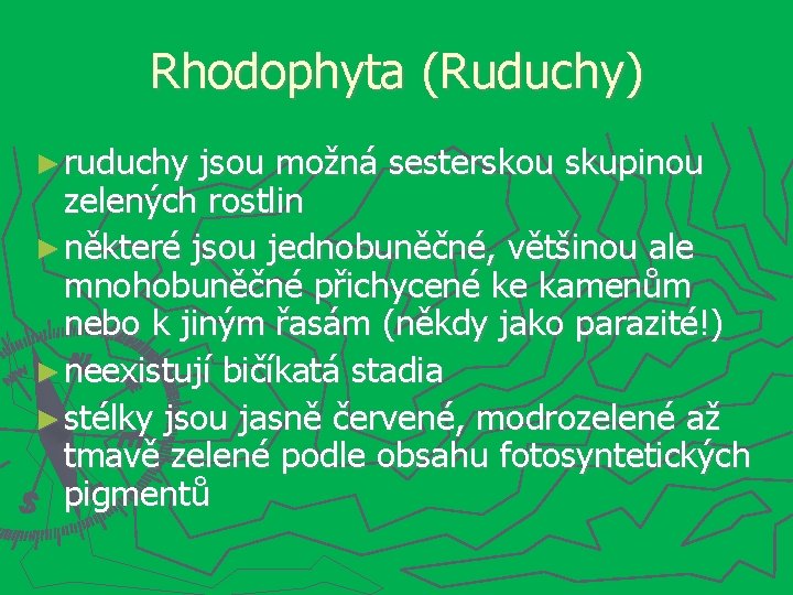 Rhodophyta (Ruduchy) ► ruduchy jsou možná sesterskou skupinou zelených rostlin ► některé jsou jednobuněčné,