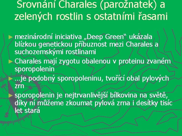 Srovnání Charales (parožnatek) a zelených rostlin s ostatními řasami ► mezinárodní iniciativa „Deep Green“