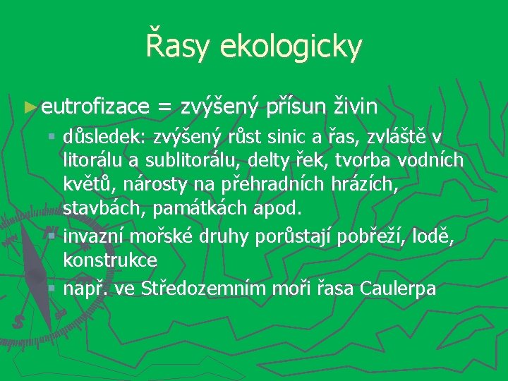 Řasy ekologicky ► eutrofizace = zvýšený přísun živin důsledek: zvýšený růst sinic a řas,