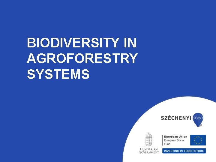 BIODIVERSITY IN AGROFORESTRY SYSTEMS 