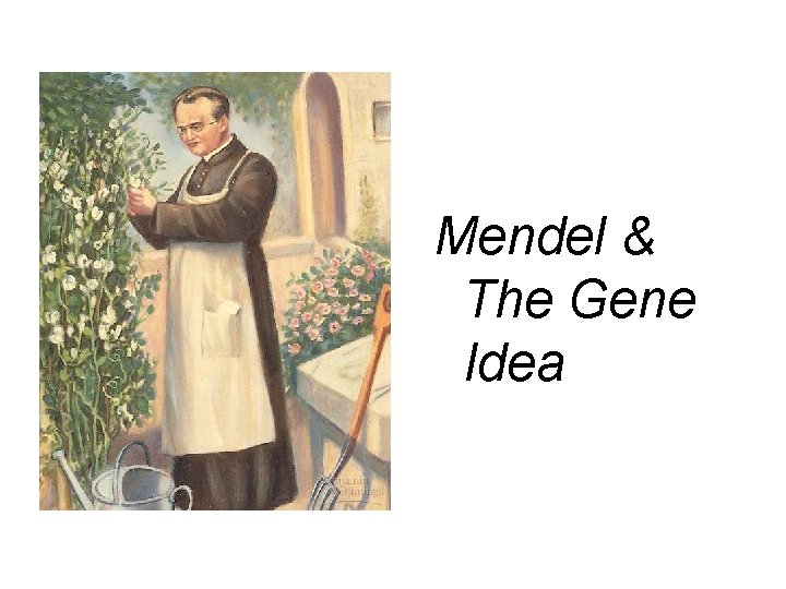 Mendel & The Gene Idea 