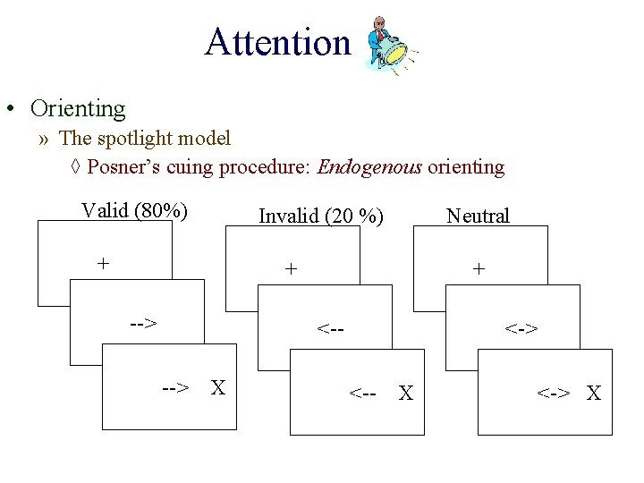 Attention • Orienting » The spotlight model ◊ Posner’s cuing procedure: Endogenous orienting Valid