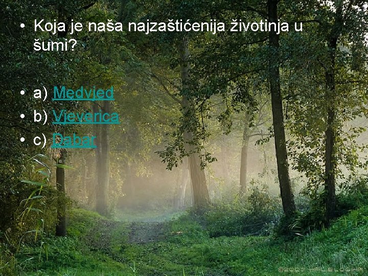  • Koja je naša najzaštićenija životinja u šumi? • a) Medvjed • b)