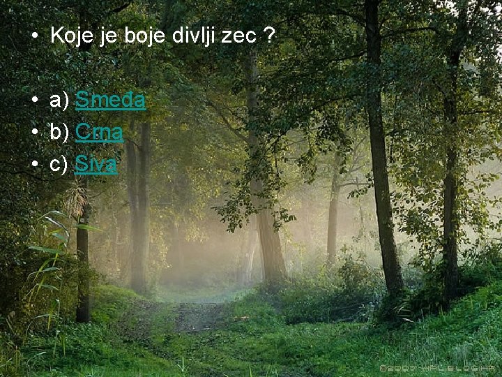  • Koje je boje divlji zec ? • a) Smeđa • b) Crna