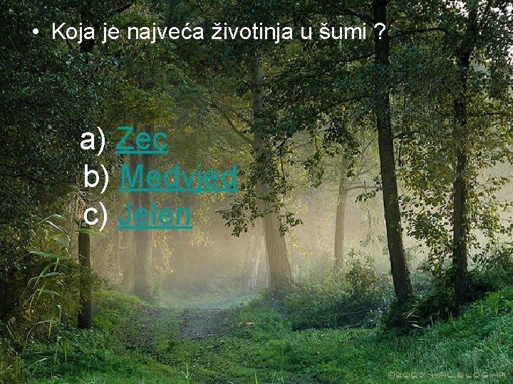  • Koja je najveća životinja u šumi ? a) Zec b) Medvjed c)