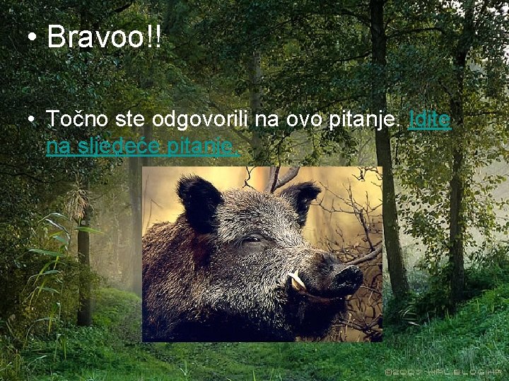  • Bravoo!! • Točno ste odgovorili na ovo pitanje. Idite na sljedeće pitanje.