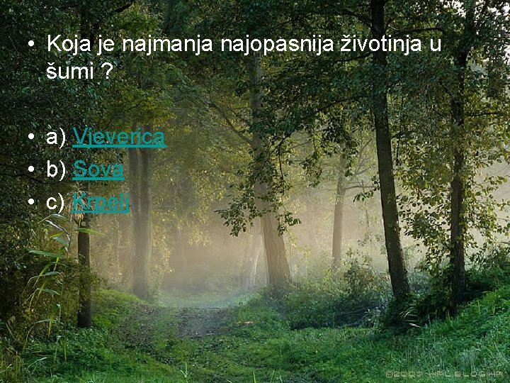  • Koja je najmanja najopasnija životinja u šumi ? • a) Vjeverica •