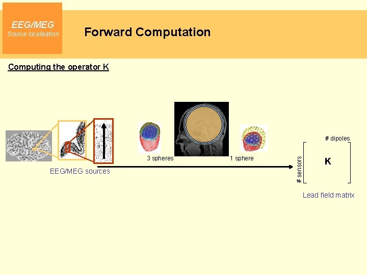 EEG/MEG Source localisation Forward Computation Computing the operator K 3 spheres EEG/MEG sources 1