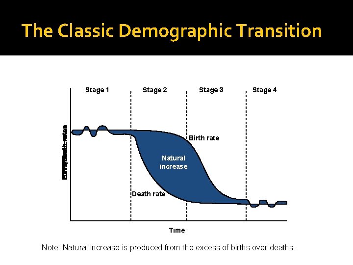 The Classic Demographic Transition Stage 1 Stage 2 Stage 3 Stage 4 Birth rate