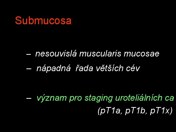 Submucosa – nesouvislá muscularis mucosae – nápadná řada větších cév – význam pro staging