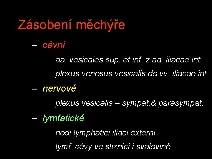 Zásobení měchýře – cévní aa. vesicales sup. et inf. z aa. iliacae int. plexus
