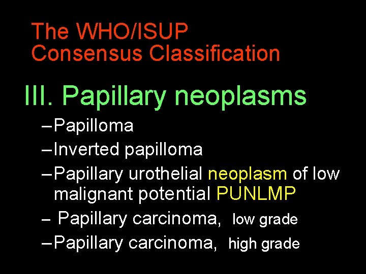 The WHO/ISUP Consensus Classification III. Papillary neoplasms – Papilloma – Inverted papilloma – Papillary