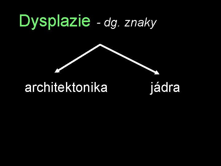 Dysplazie - dg. znaky architektonika jádra 
