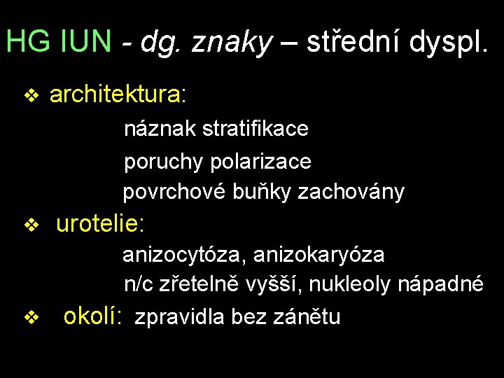 HG IUN - dg. znaky – střední dyspl. v architektura: náznak stratifikace poruchy polarizace