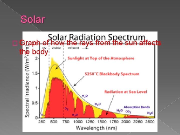 Solar � Graph of how the rays from the sun affects the body 