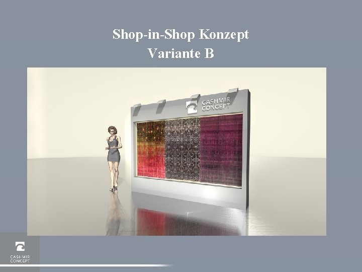 Shop-in-Shop Konzept Variante B 