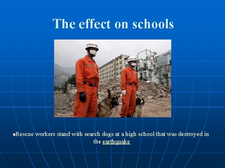 The effect on schools n Rescue workers stand with search dogs at a high