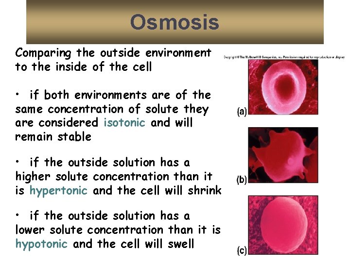 Osmosis Comparing the outside environment to the inside of the cell • if both