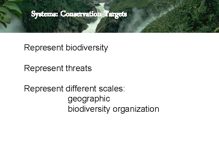 Systems: Conservation Targets Represent biodiversity Represent threats Represent different scales: geographic biodiversity organization Systems: Conservation Targets Represent biodiversity Represent threats Represent different scales: geographic biodiversity organization