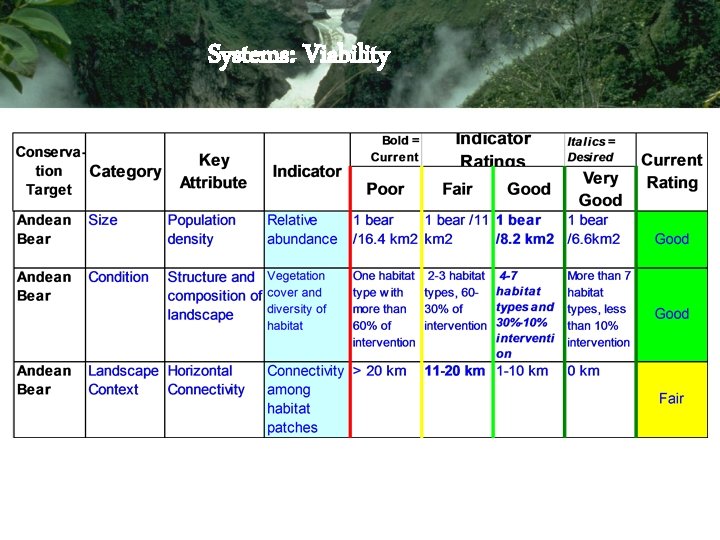 Systems: Viability Systems: Viability