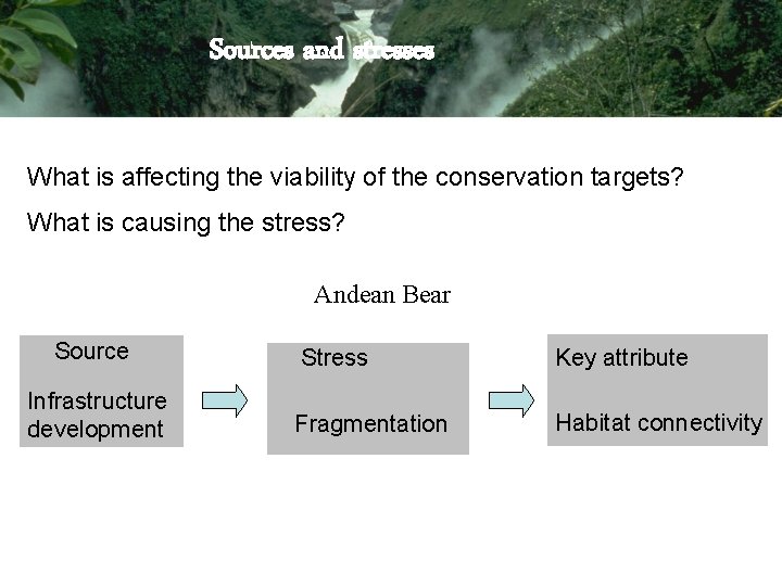 Sources and stresses What is affecting the viability of the conservation targets? What is Sources and stresses What is affecting the viability of the conservation targets? What is
