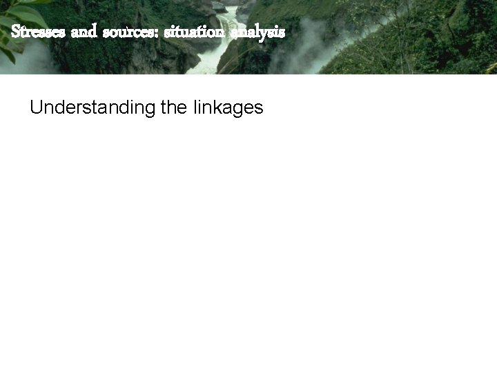 Stresses and sources: situation analysis Understanding the linkages Stresses and sources: situation analysis Understanding the linkages