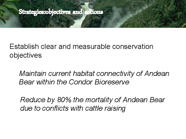 Strategies: objectives and actions Establish clear and measurable conservation objectives Maintain current habitat connectivity Strategies: objectives and actions Establish clear and measurable conservation objectives Maintain current habitat connectivity