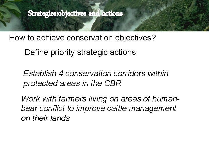 Strategies: objectives and actions How to achieve conservation objectives? Define priority strategic actions Establish Strategies: objectives and actions How to achieve conservation objectives? Define priority strategic actions Establish