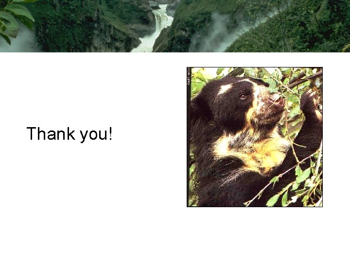 Thank you! Thank you!