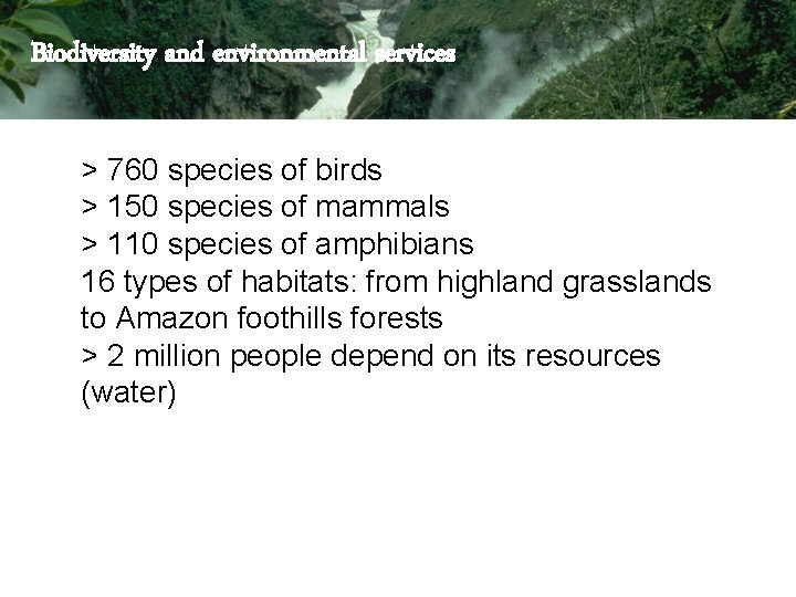 Biodiversity and environmental services > 760 species of birds > 150 species of mammals Biodiversity and environmental services > 760 species of birds > 150 species of mammals