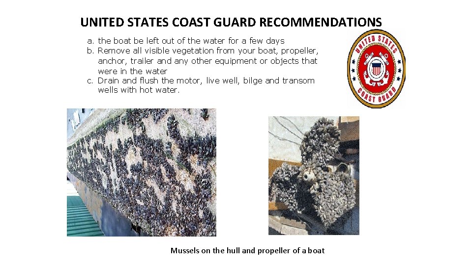 UNITED STATES COAST GUARD RECOMMENDATIONS a. the boat be left out of the water