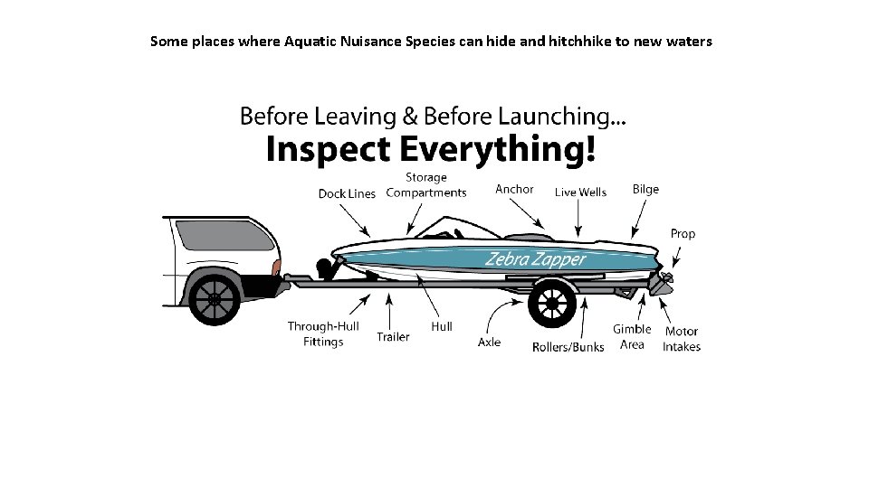 Some places where Aquatic Nuisance Species can hide and hitchhike to new waters 